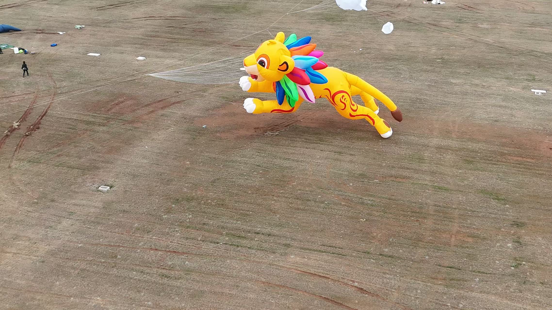 东营市品牌风筝定制风筝DIY - 哪里好